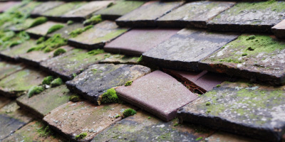 Rochford roof repair costs